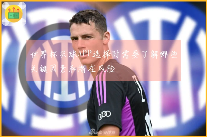 世界杯买球APP选择时需要了解哪些关键因素和潜在风险