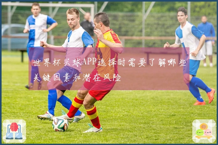 世界杯买球APP选择时需要了解哪些关键因素和潜在风险