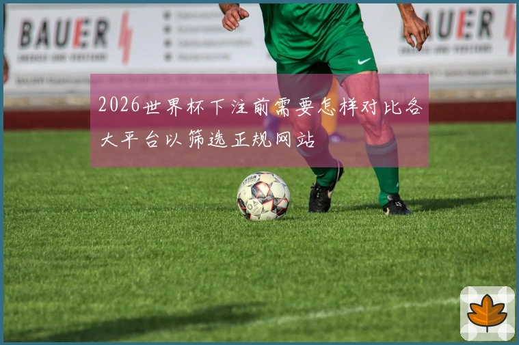 2026世界杯下注前需要怎样对比各大平台以筛选正规网站