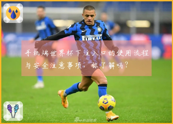 手机端世界杯下注入口的使用流程与安全注意事项，你了解吗？