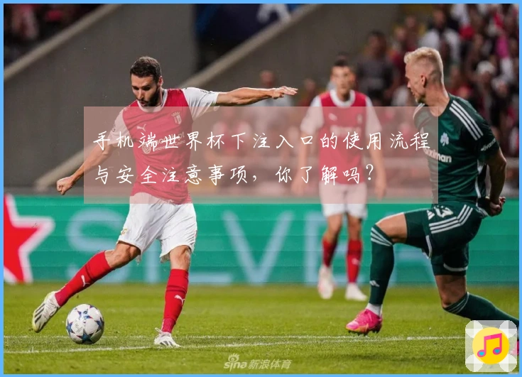 手机端世界杯下注入口的使用流程与安全注意事项，你了解吗？