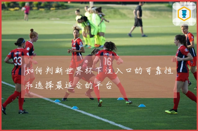 如何判断世界杯下注入口的可靠性和选择最适合的平台