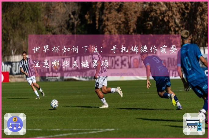 世界杯如何下注：手机端操作前要注意哪些关键事项