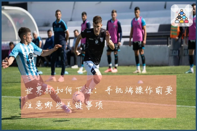 世界杯如何下注：手机端操作前要注意哪些关键事项